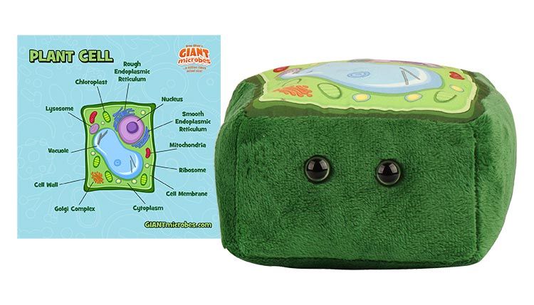 Plant Cell Giantmicrobes