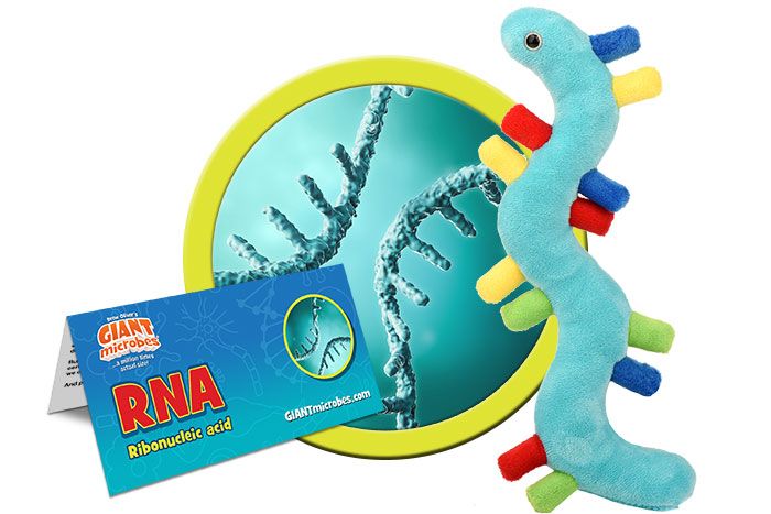 RNA Giantmicrobes