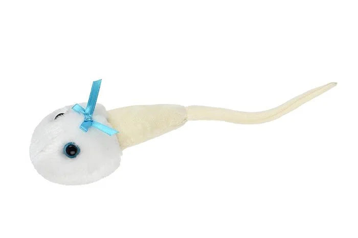 Sperm Cell Gintmicrobes