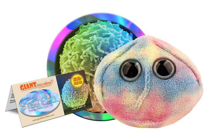 Stem Cell Giantmicrobes