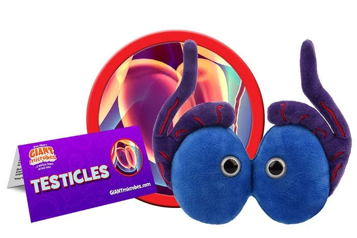 Testicles Giantmicrobes