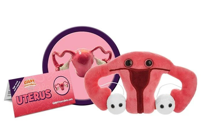Uterus Giantmicrobes